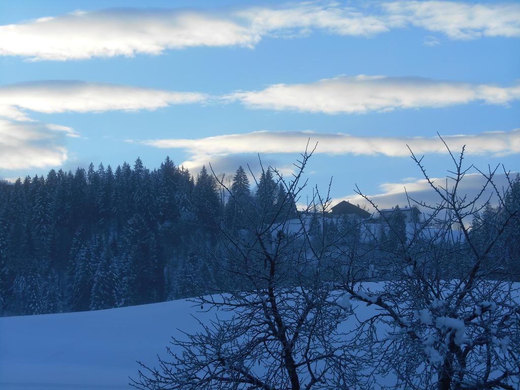 Ferienwohnung Zirmheim Westendorf Bagian luar foto